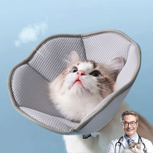 KFX-7926717 Cat Sterilization Anti-Scratch Collar in Multiple Sizes for Comfort and Safety