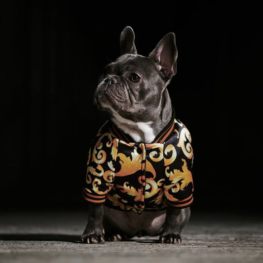 KFX-7994813 Cotton Dog Coat for Small to XXXL Sizes, Adjustable Neck and Bust Measurements