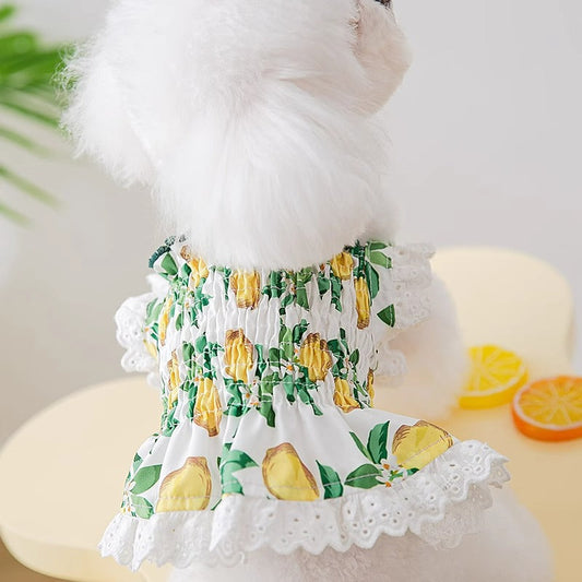 KFX-7998013 Thin Breathable Dog Dress with Strap in Rock Yellow Lemon, Sizes XS to XXL