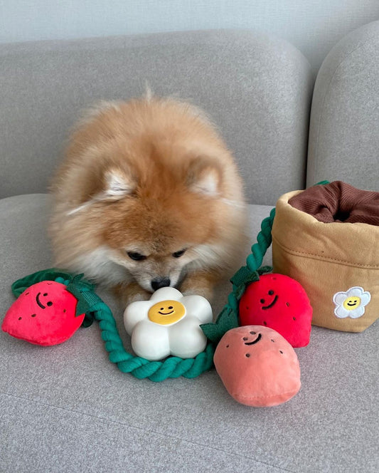 KFX-8039741 Strawberry Potted Plant Plush Toy with Hidden Treats for Pets