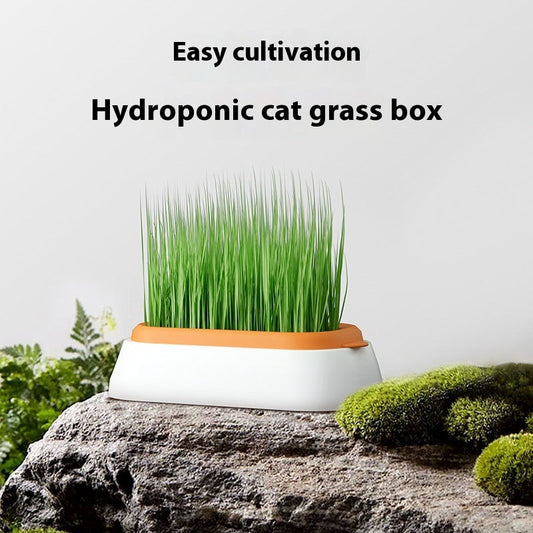 KFX-8062141 Hydroponic Cat Grass Planter with Wheat Seed Basin - Soil-Free, Available in White, Green, Red