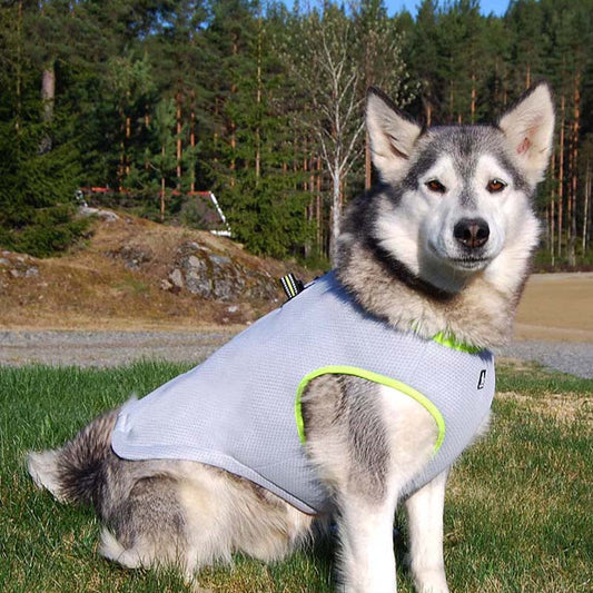 KFX-8070973 Cooling Harness Suit for Dogs - Summer Traction and Breathable Design in Gray Green and Gray Orange