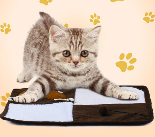KFX-8079293 Sisal Cat Scratch Pad Toy - Plush Fish, Square & Round Designs