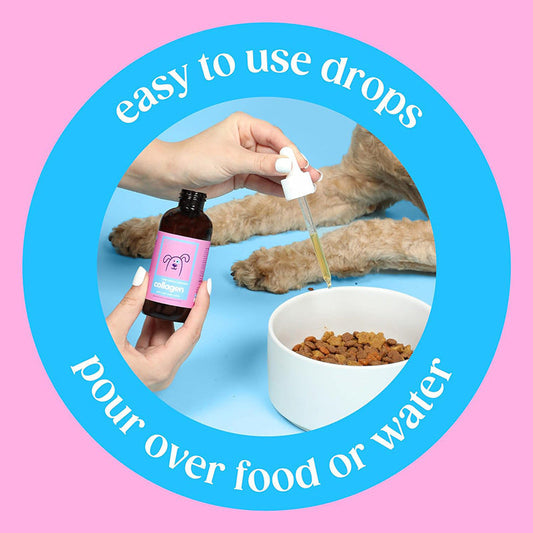 KFX-8121789 Pet Collagen Drops for Healthy Skin and Joints
