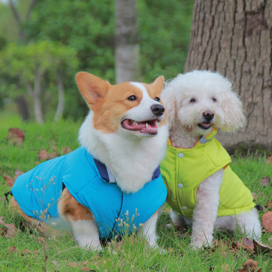 KFX-8158909 Thickened Waterproof Double-Sided Reflective Outdoor Pet Jacket in Blue and Green