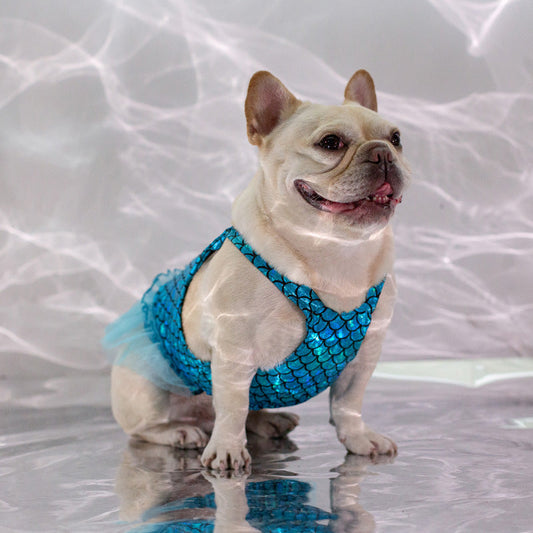 KFX-8166589 Dog Leisure Skirt in Lake Blue and Rose Red Made from Laser Bronzing Fish Scale Cloth