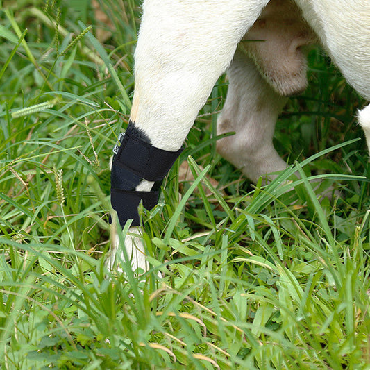 KFX-8166845 Anti-Licking Bandage for Dogs - Adjustable Size S, M, L, XL, Black Diving Material