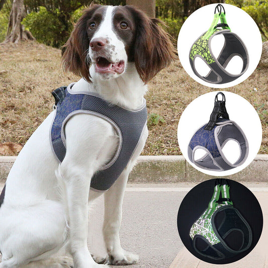 KFX-8169277 Adjustable Dog Leash Vest in Blue and Green, Sizes S to XL, Made of Polyester and Nylon