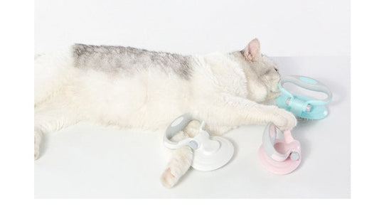 KFX-8171581 Self-Cleaning Wire Brush for Pets - Plastic Comb in White, Pink, and Blue