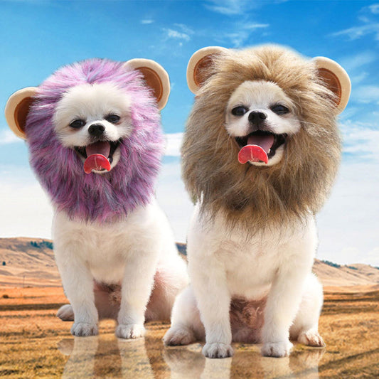 KFX-8224829 Adorable Pet Lion and Cartoon Hats for Every Season - Brown, Purple, and More