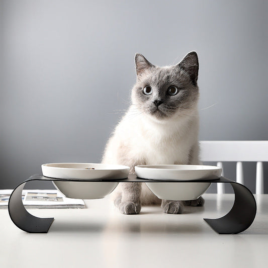 KFX-8231613 Double Bowl Dog Bowl Set with Iron Frame and Ceramic Bowls for Cats