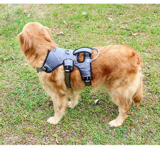 KFX-8240573 Adjustable Dog Chest Strap for Large Breeds - Available in Gray, Red, Blue, Size S-XL