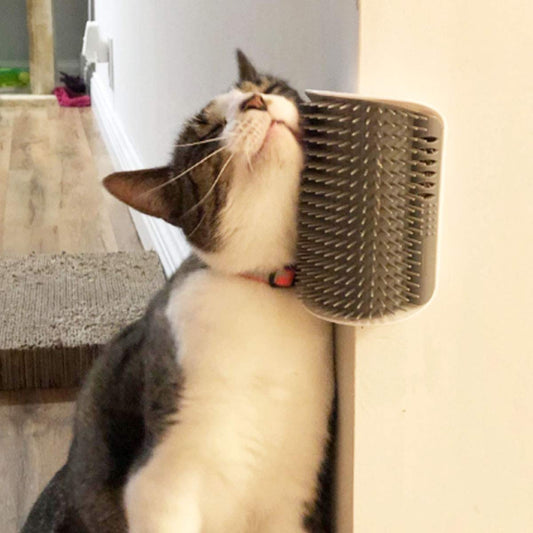 KFX-8250301 Self-Grooming Cat Brush Arch for Shedding and Massage - Interactive Corner Groomer for Dogs and Cats
