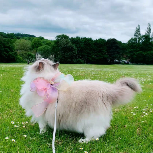 KFX-8275517 Retractable Butterfly Pet Leash with Break-Free Features - Available in Crystal Purple and Neon Pink