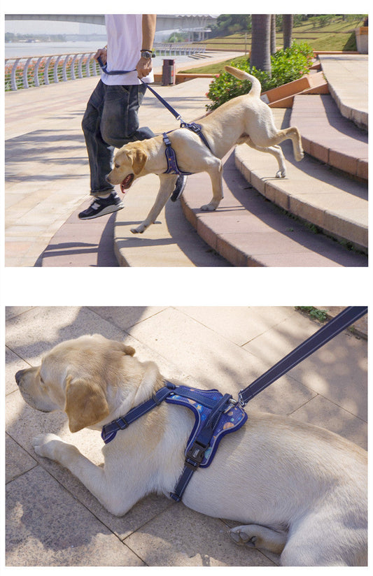 KFX-8279101 Adjustable Dog Chest Strap Vest - Fabricated from Durable Nylon, Available in Multiple Colors and Sizes