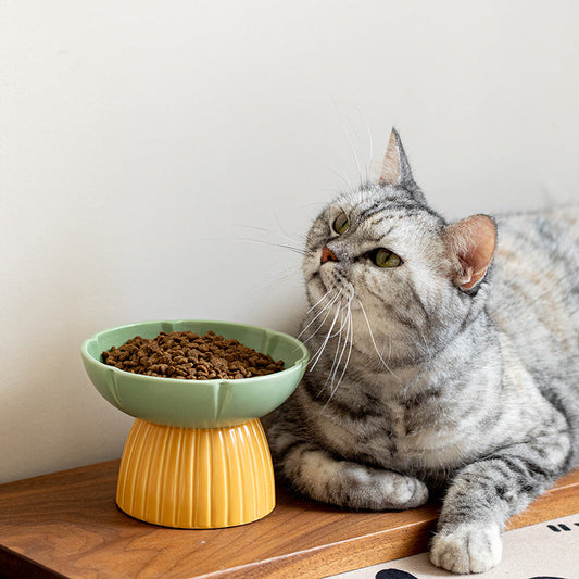 KFX-8303037 Cat Feeding Bowl in Candy Colors - Pink and Green Ceramic Design