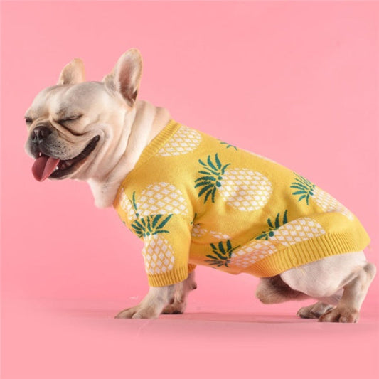 KFX-8337597 Pineapple Print Cotton Sweater in Multiple Sizes