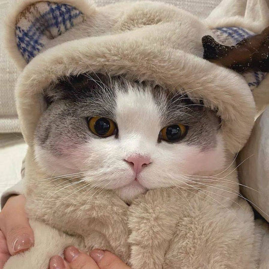 KFX-8340157 Cozy Bear Plush Cloak for Dogs and Cats - Warm Autumn/Winter Blanket
