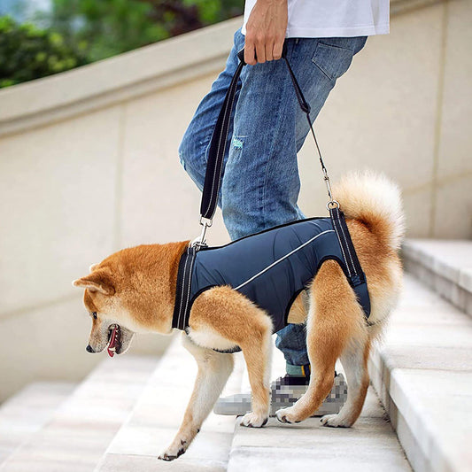 KFX-8377405 Elderly and Disabled Dog Support Vest - Adjustable Auxiliary Belt for Cats - Available in Multiple Sizes and Colors