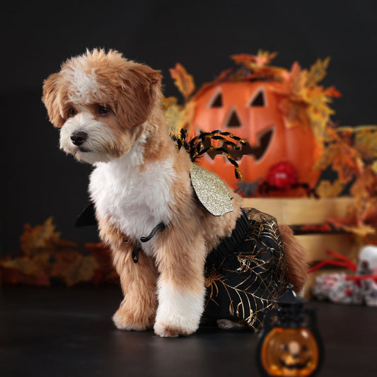 KFX-8391229 Halloween Dog Costume – Spooky Fun Pet Outfit in Various Sizes