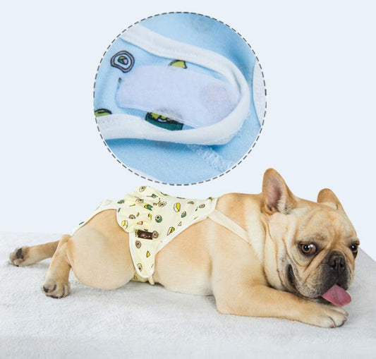 KFX-8404413 Physiological Cotton Pants for Dogs, Stylish Casual Wear in Yellow and Blue