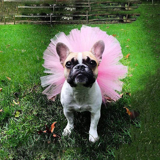 KFX-8436285 Pet Tutu Skirt for Small to Large Pets - Soft Mesh Material, Protective Design, Adjustable Waist