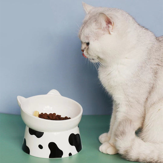 KFX-8443837 Ceramic Pet Bowl with High Foot and Oblique Mouth Design for Cervical Spine Protection