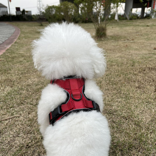 KFX-8475709 Adjustable Nylon Cat Vest with Anti-Breakaway Leash in Fashionable Style