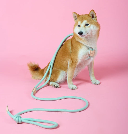 KFX-8491709 Integrated Round Rope Dog Leash in Green and Pink - Durable Cloth Traction Belt