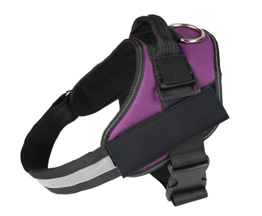 KFX-8508477 Adjustable Pet Chest Harness with Durable Leash - Multiple Sizes & Colors Available