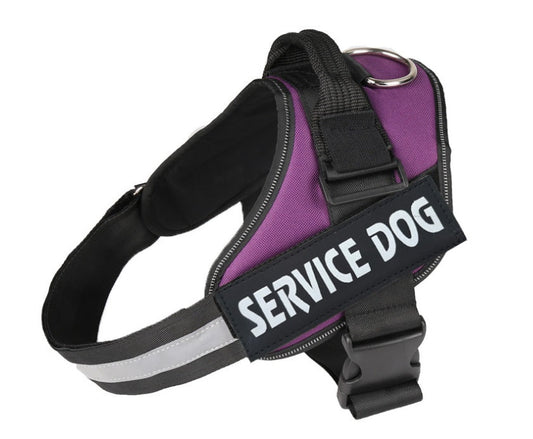 KFX-8508477 Adjustable Pet Chest Harness with Durable Leash - Multiple Sizes & Colors Available
