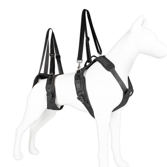 KFX-8568253 Assisted Split Chest Strap for Pets - Suitable for Dogs, Cats, and Large Animals