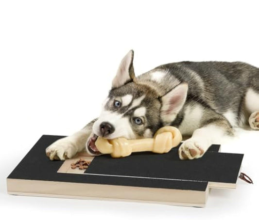 KFX-8572221 Dog Nail Scratch Board with Treat Box - Safe and Fun Nail Trimming Solution for All Breeds and Sizes