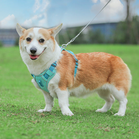 KFX-8574013 Large Anti-Slip Pet Chest Harness with Traction Rope in Various Colors
