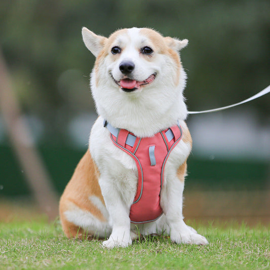 KFX-8574013 Large Anti-Slip Pet Chest Harness with Traction Rope in Various Colors
