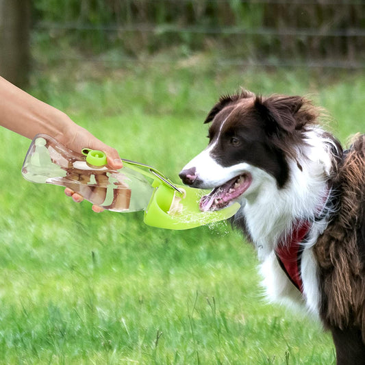 KFX-8586301 Portable Leak-Proof Pet Water Dispenser with Drinking Cup and Bowl - 580ml Capacity
