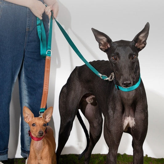 KFX-8590013 Durable Nylon Pet Traction Rope for Large Dogs - Available in Cardamom Red, Linen Green, Yunshan Blue (Length: 108-220cm, Width: 2.0cm)