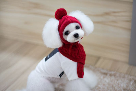 KFX-8618045 Cozy Dog Hat and Scarf Set for Autumn and Winter - Suitable for Small to Medium Breeds