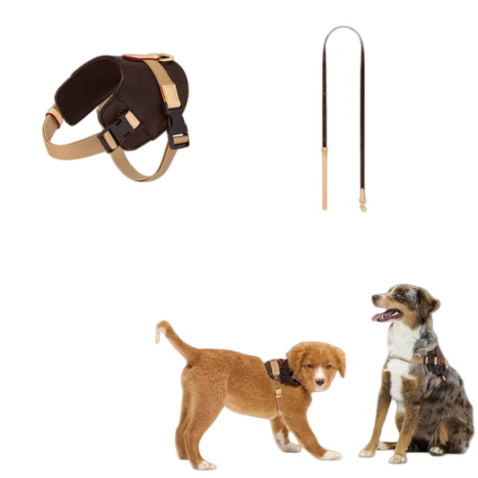 KFX-8639549 Coffee Floral Leather Pet Harness - Size S & M, Adjustable for All Seasons