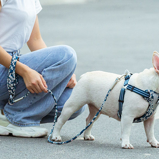 KFX-8667069 Floral Cotton Pet Dog Leash with Zinc Alloy Clips - Available in Blue and Red