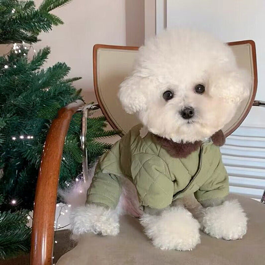 KFX-8743101 Cozy Cotton-Padded Dog Apparel for Autumn and Winter in Cute Fish Designs
