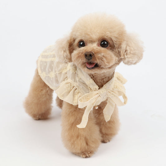 KFX-8769725 Chiffon Princess Dress for Dogs - Embroidered Summer Spring Skirt in Apricot, Sizes XXS to 3XL