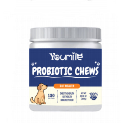 KFX-8809917 Probiotic Chewing Capsules - 120 Count Dietary Supplement for Digestive Health