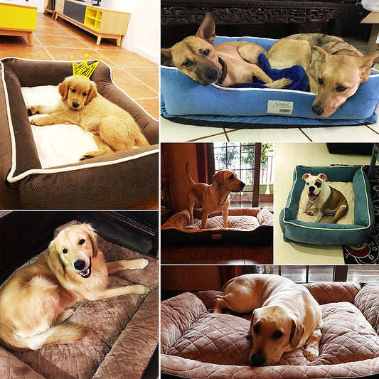 KFX-8831165 Universal Removable and Washable Dog Mat for Medium to Large Breeds, Ideal for Winter Comfort