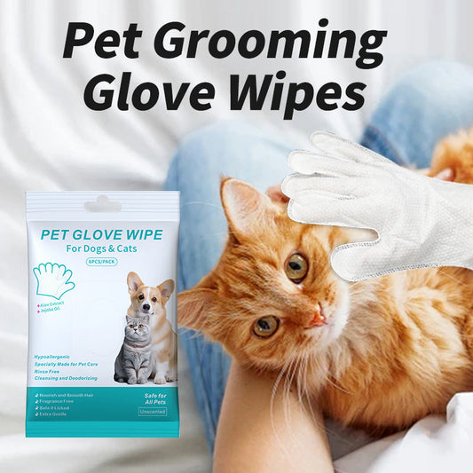 KFX-8832701 Pet Cleaning Essentials Set: Disposable Gloves, Wipes, and Foot Foam