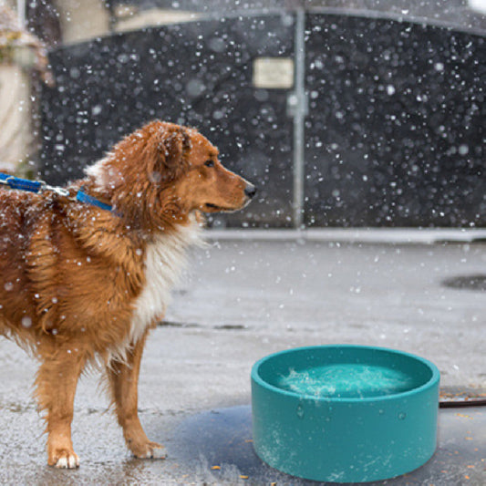 KFX-8854333 Pet Heating Bowl - Non-Slip Anti-Fall Design, 3L Capacity, Available in Multiple Colors