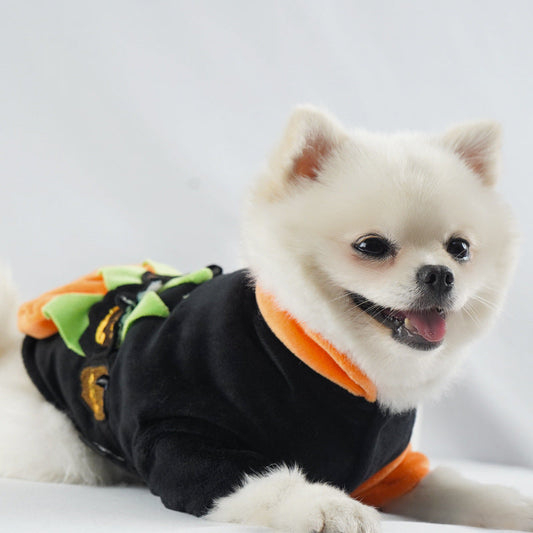 KFX-8856509 Casual Halloween Pet Jacket in Devil Pumpkin Design - Available in Multiple Sizes