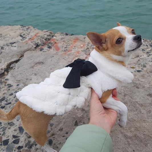 KFX-8862269 Elegant Bow Plush Coat for Dogs - Breathable Two-Legged Spring & Autumn Wear