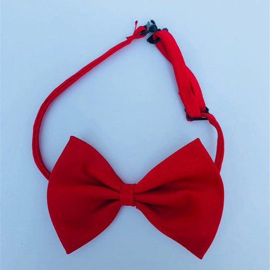 KFX-8877629 Colorful Cat Flower Bow Tie Hairpin - Polyester Material, Suitable for All Pets