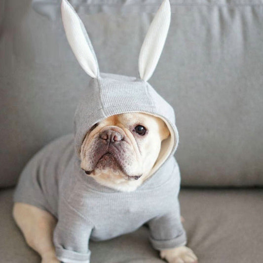KFX-8933181 Knitted Sweater with Rabbit Ears for Small Dogs - Wool Material
